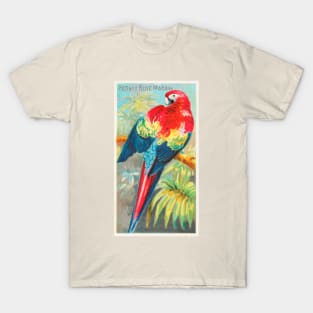 Macaw T-Shirt